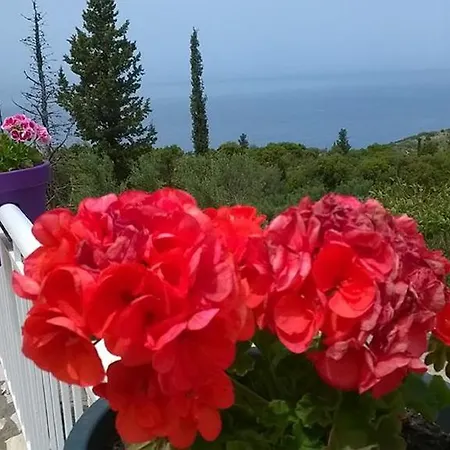 Apartmán Agnantio Áyios Nikítas